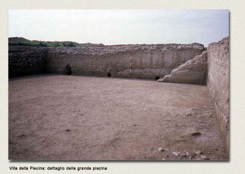 particolare della piscina
